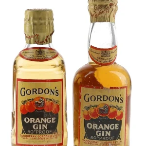 Gordon's 5cl