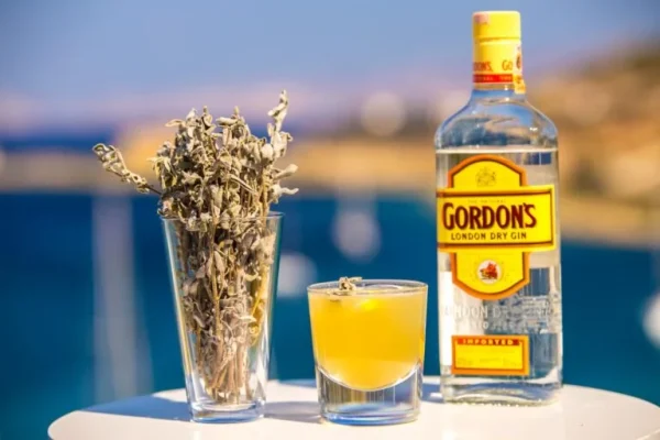 Gordon's 8cl